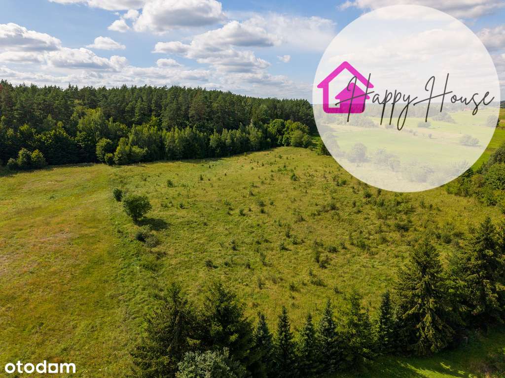 Działka Brajniki – 6,5 tys. m² blisko jeziora - Pełny obrazek: 4/8