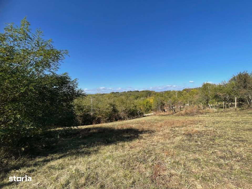 Teren Babana - Imagine principală: 2/8