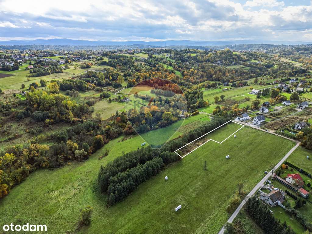 Widikowa działka w Podstolicach-5