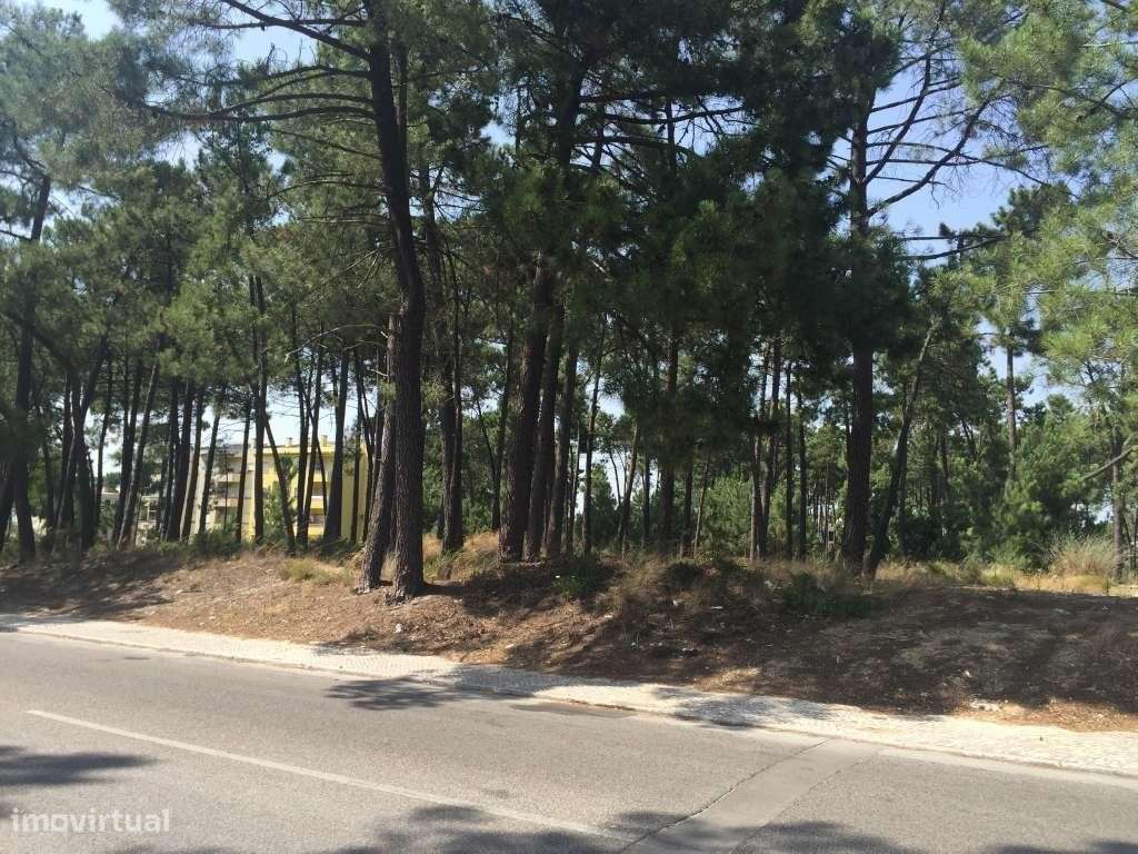 Terreno Urbano para Construção - Pinhal de Negreiros, Azeitão - Grande imagem: 5/20