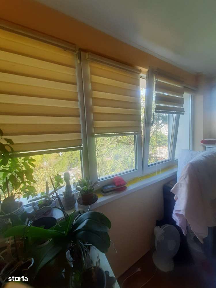 Drumul Taberei Favorit-7