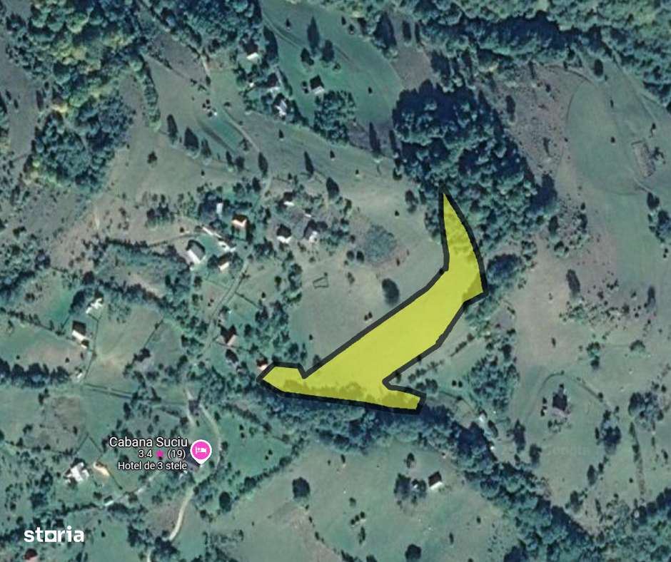 Teren Intravilan Pajiste si Padure-1