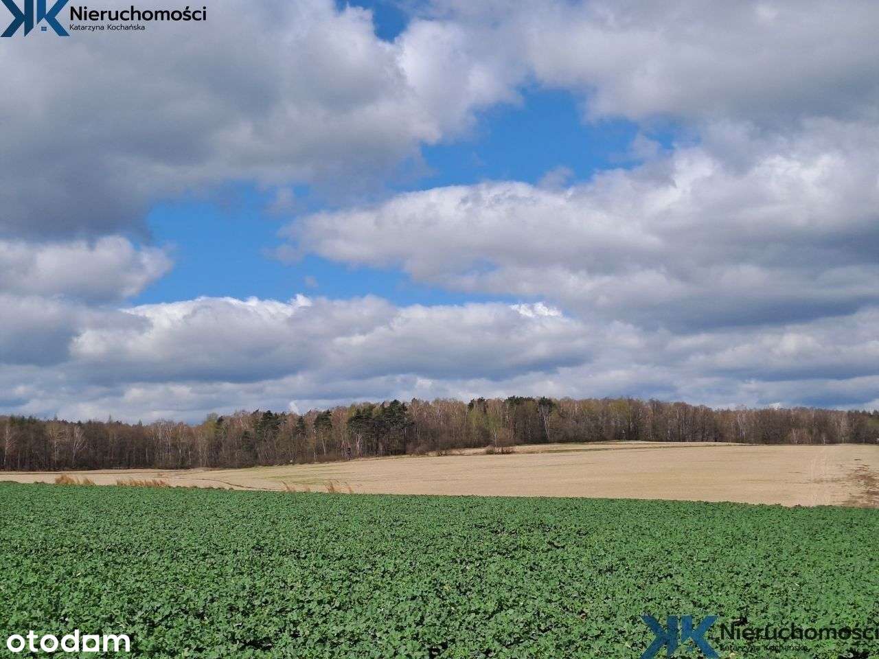 Duża działka rolna, Zbrosławice. - Pełny obrazek: 5/9