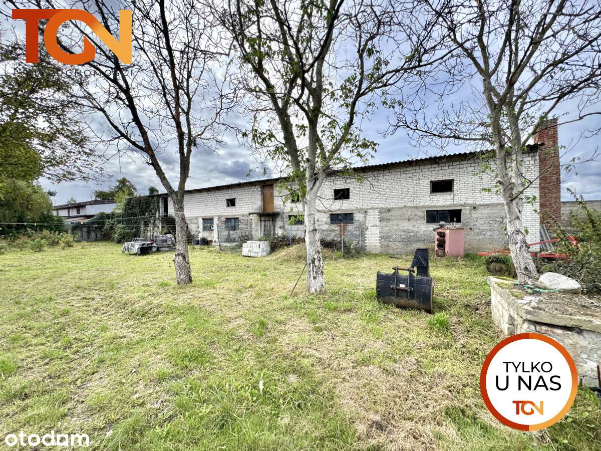 s627625 - Pełny obrazek: 5/15