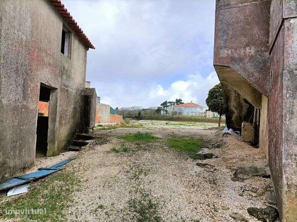 Terreno com Varias casas Cela Nova Alcobaça-Leiria-17