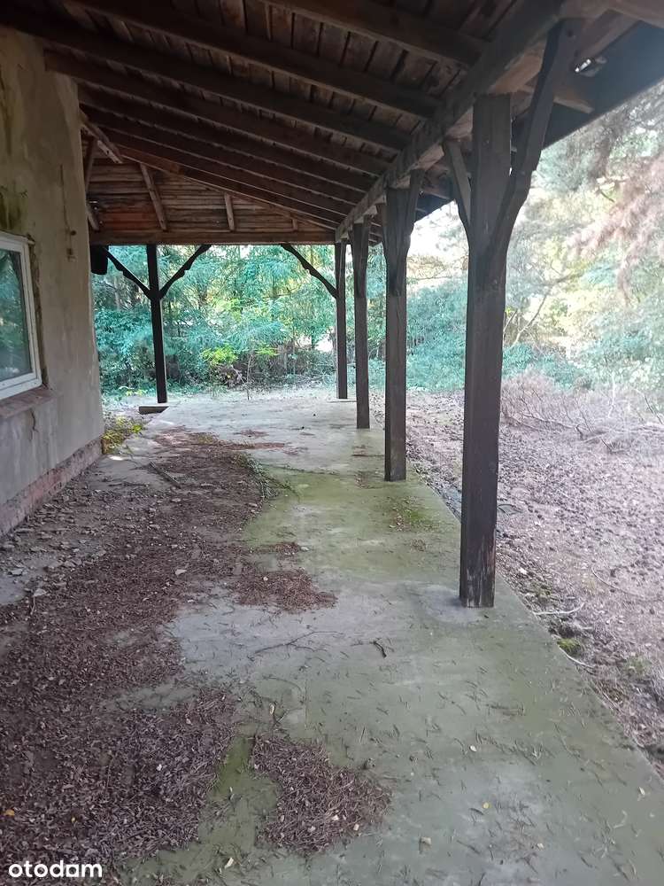 Dom, 300 m², Osłonin - Pełny obrazek: 5/12