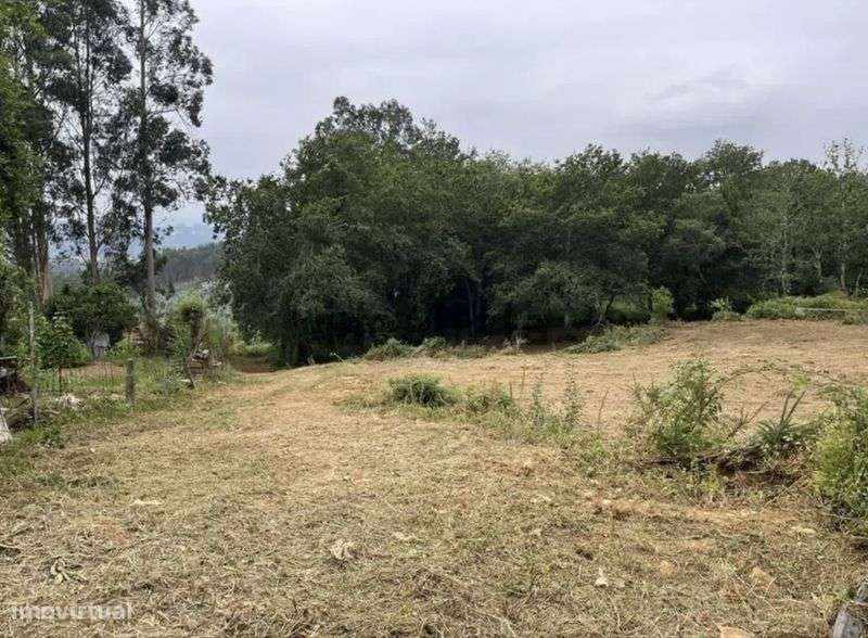 Terreno Rustico para venda - Grande imagem: 4/4