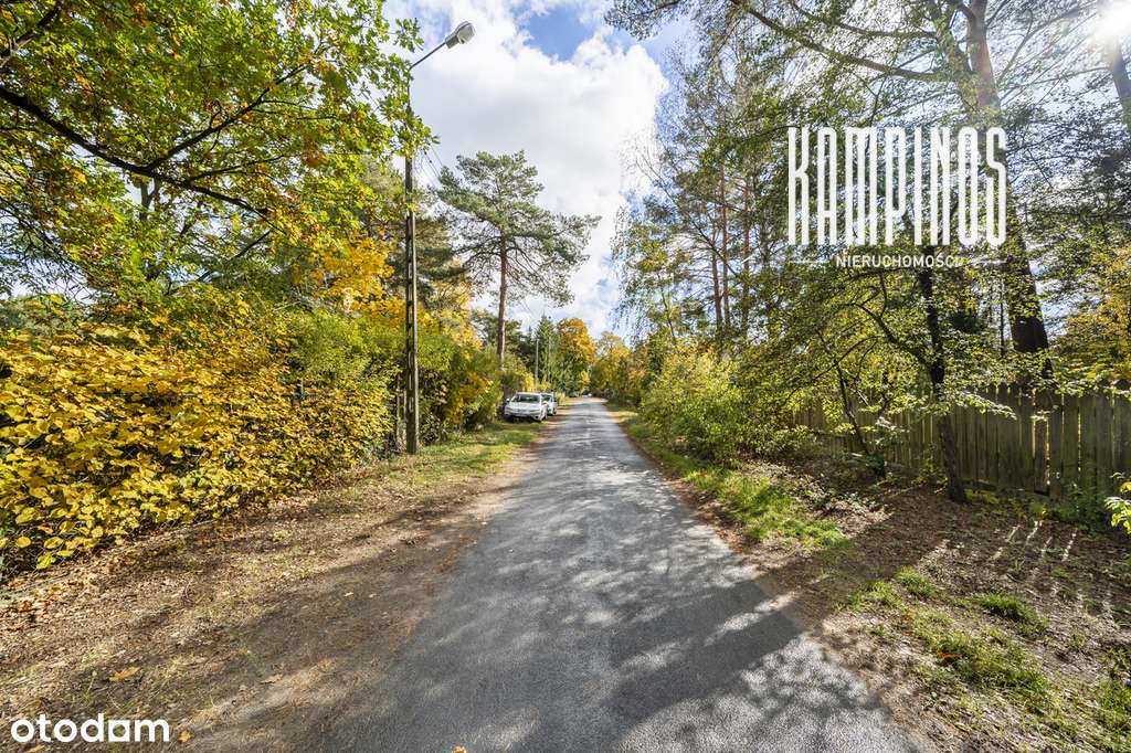 Zadrzewiona działka budowlana w Izabelinie C-0