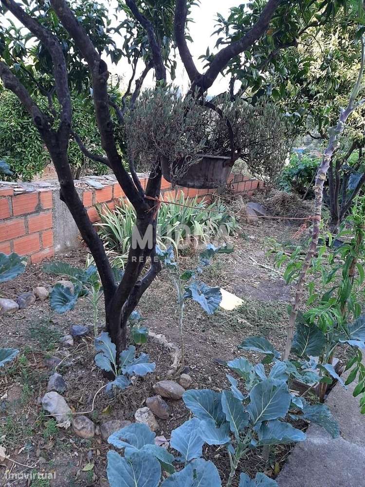 Moradia T2 em Sarzedas-19