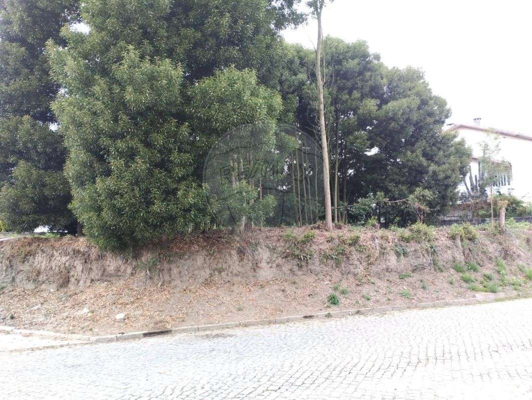 Terreno  para venda - Grande imagem: 5/5