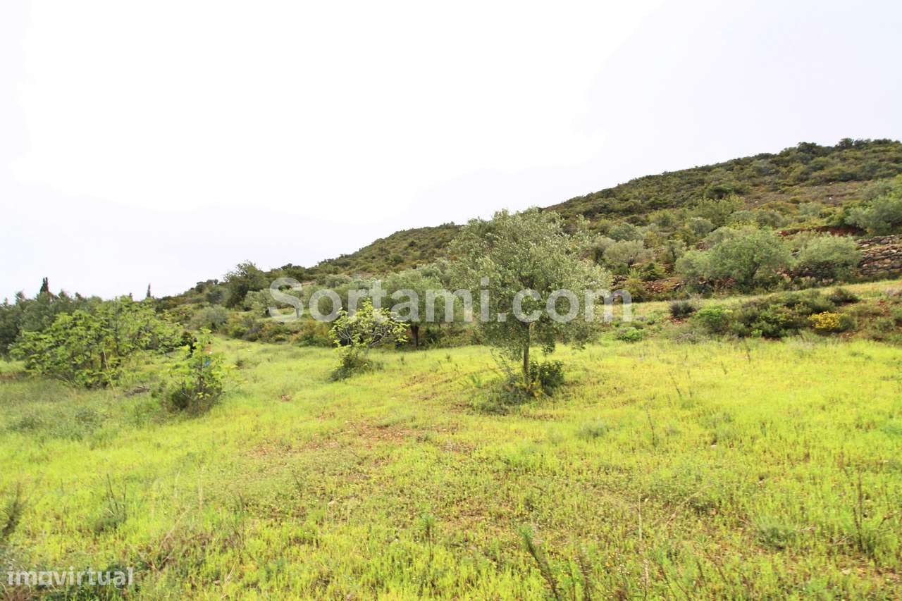 Terreno Para Construção  Venda em Conceição e Estoi,Faro - Grande imagem: 3/6