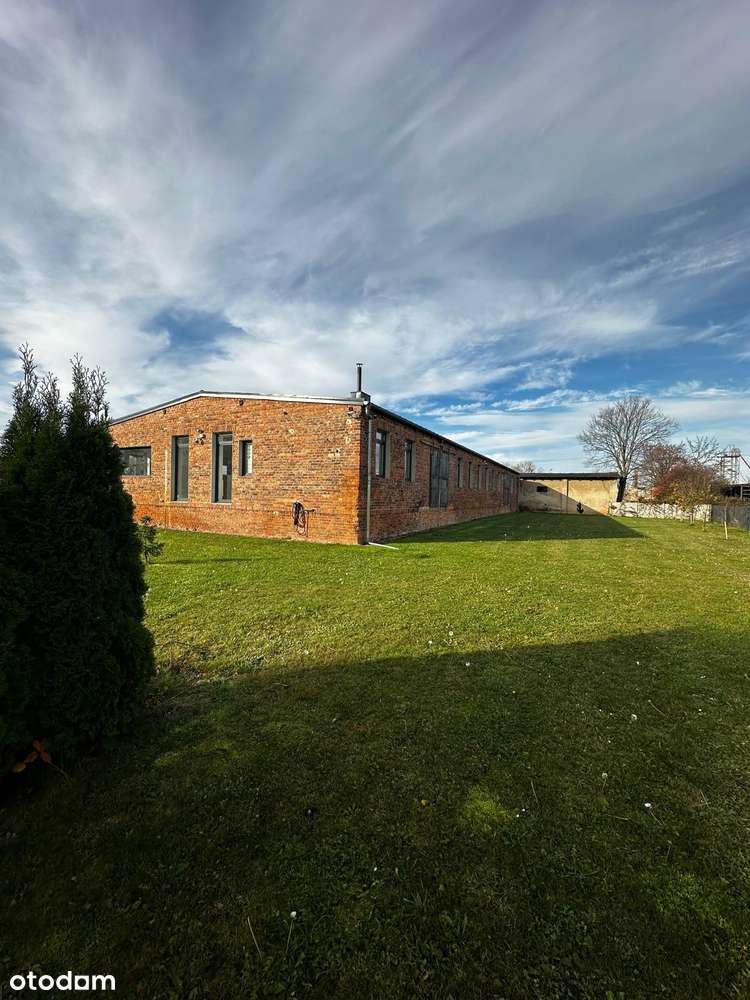 Budynek produkcyjno-magazynowy-6