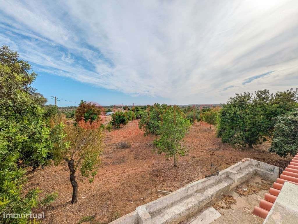 Moradia Rústica T6 com 5 Hectares em Tunes, Silves-30