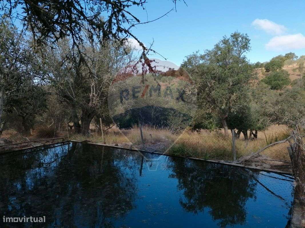 Quinta  para venda - Grande imagem: 4/21