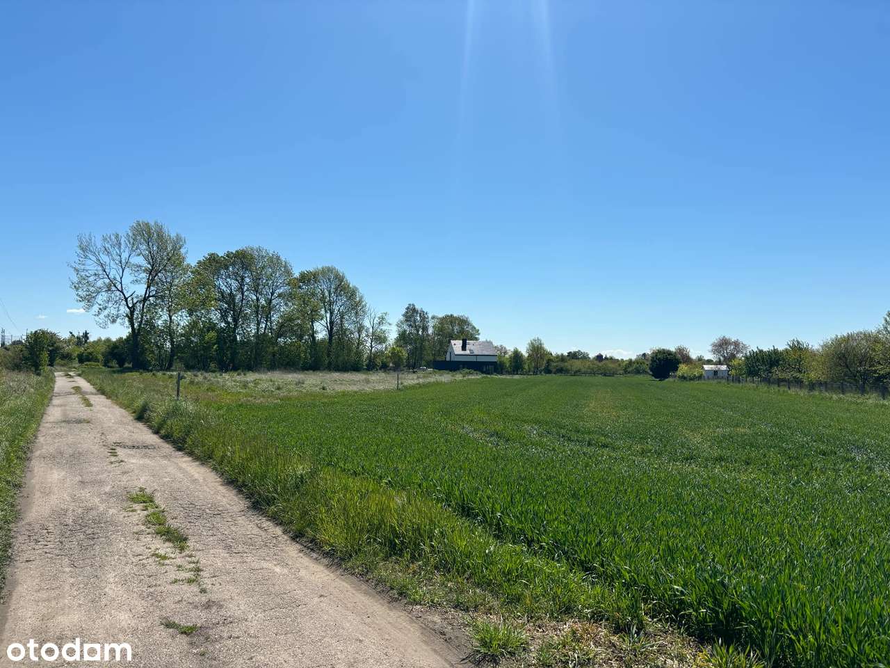 Działki z Miejscowym Planem i świetnej lokalizacji - Pełny obrazek: 3/5