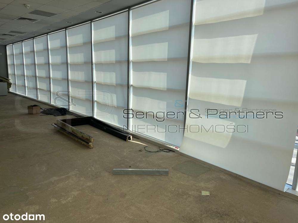 Lokale Biurowe na Grunwaldzie różne powierzchnie! - Pełny obrazek: 4/13