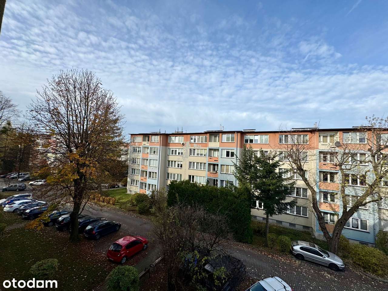 Mieszkanie 3 -pok + osobna kuchnia - do remontu, ul. Piastowska-10