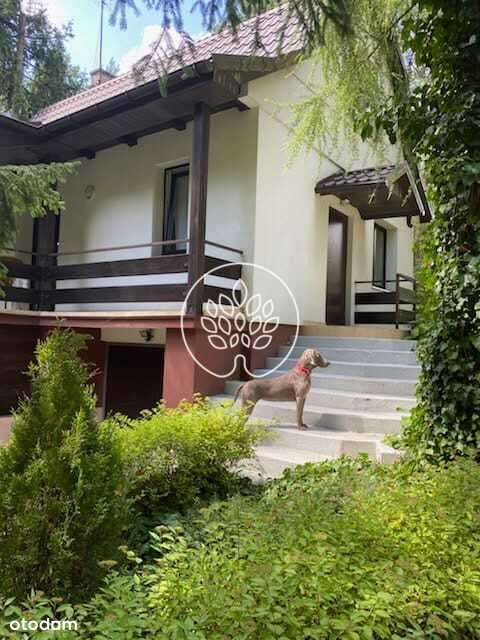 Starodrzew / Narew / Działka z domem 2200 m2 - Pełny obrazek: 5/20