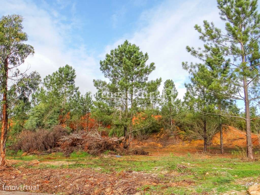 Terreno com 30.000m2 junto a Coimbra - Grande imagem: 2/13