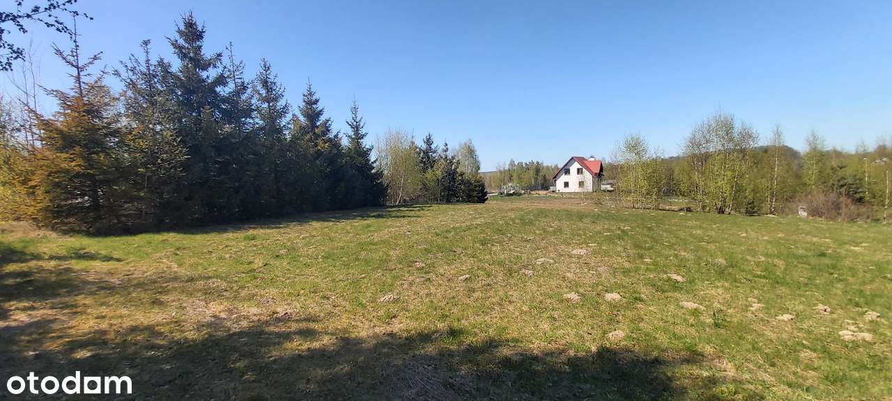 DZIAŁKA BUDOWLANA W PRZYJAŹNI Z WZ I MEDIAMI