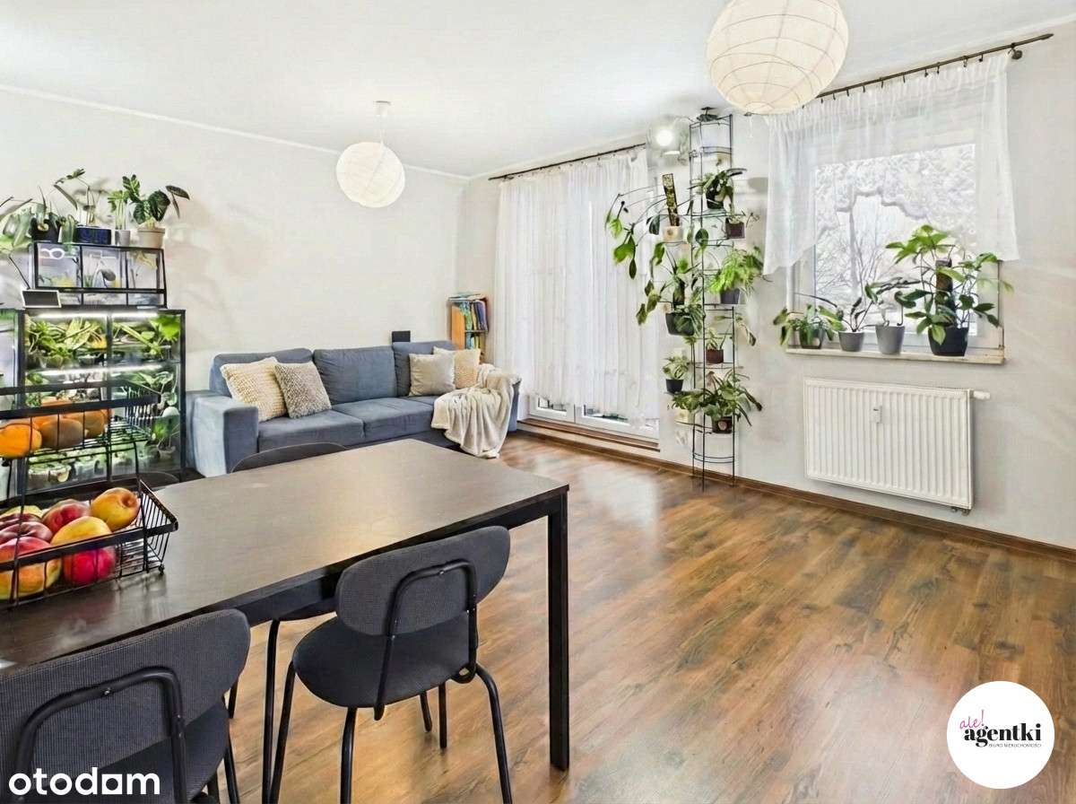 3 pokoje z możliwością 4 - świetna lokalizacja-2