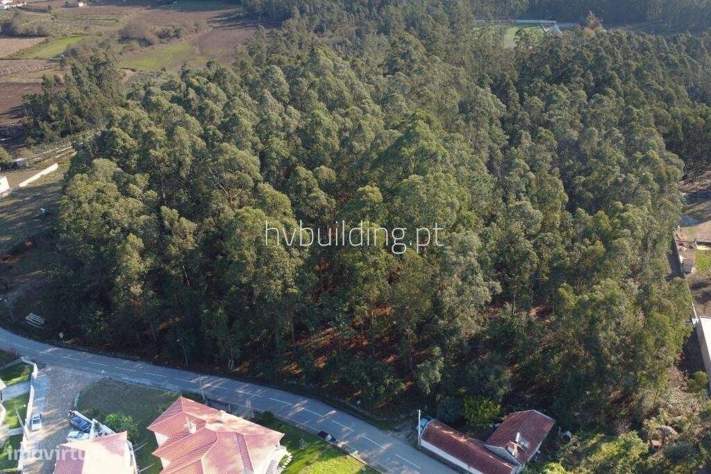 Terreno com área total de 5.242m2 de construção em Perelhal, Barcelos - Grande imagem: 4/9