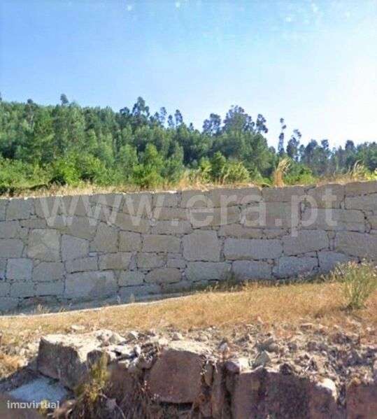 Terreno para Construção / Cinfães, Santiago de Piães - Grande imagem: 5/5
