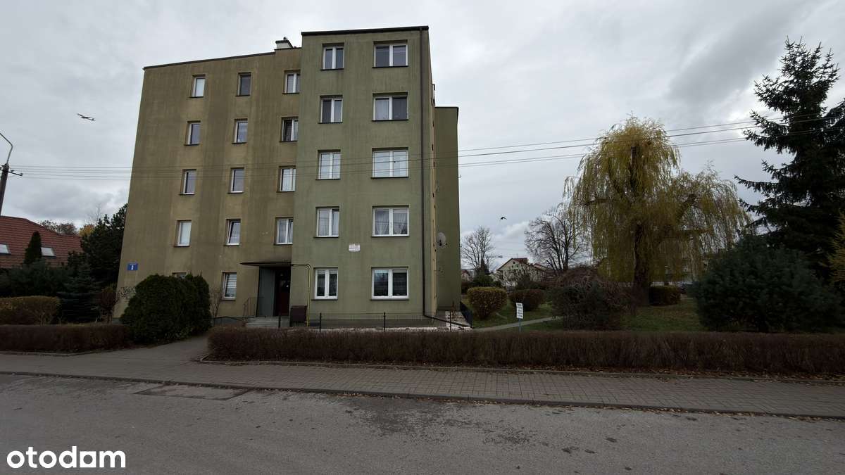 Ustawne mieszkanie do zaaranżowania - Pełny obrazek: 1/19