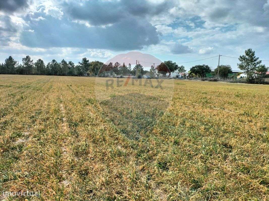 Terreno  para venda - Grande imagem: 5/28