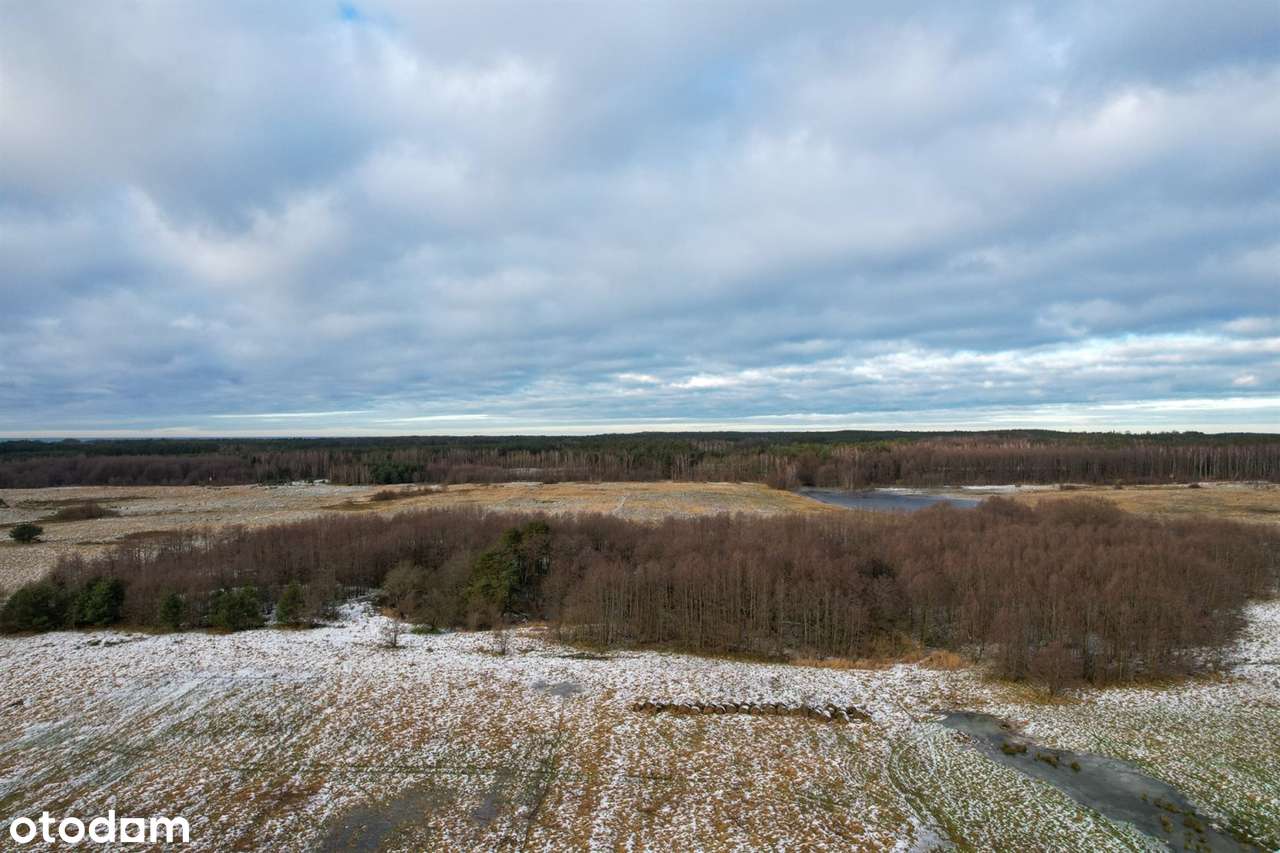 Machowinko - działka - Pełny obrazek: 5/5