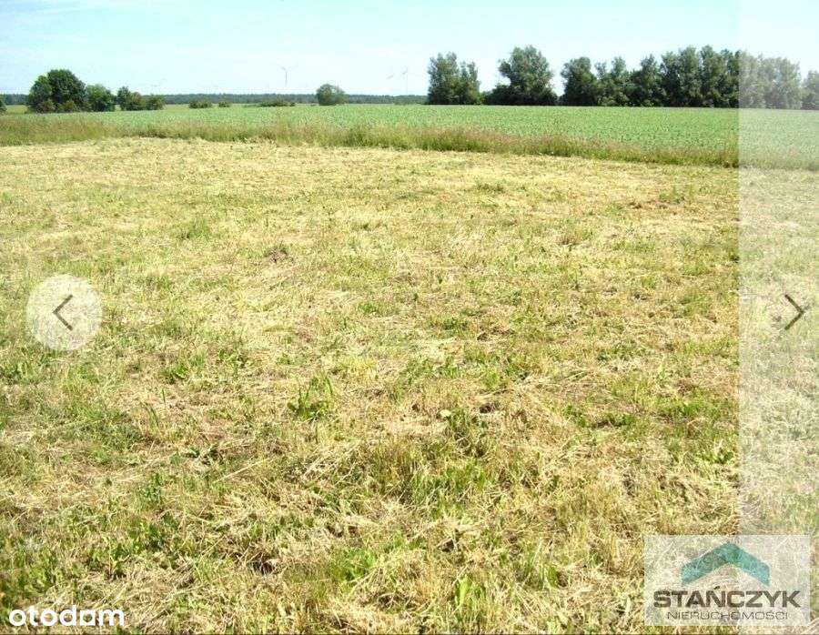 Działka Budowlana 1516 m2 - Cisza i spokój-1
