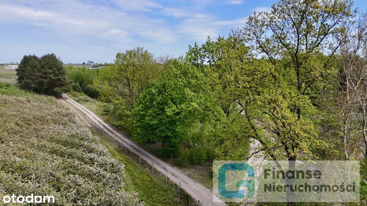 Zielona działka z możliwościami – Wola Chojnata - Pełny obrazek: 5/11