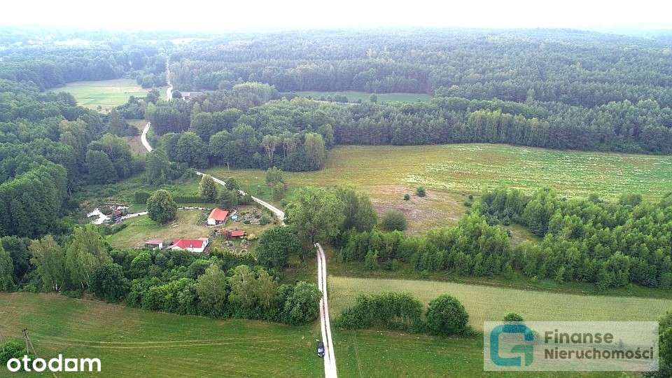 Działka pod zabudowę z lasem, Byliny Nowe - Pełny obrazek: 5/10