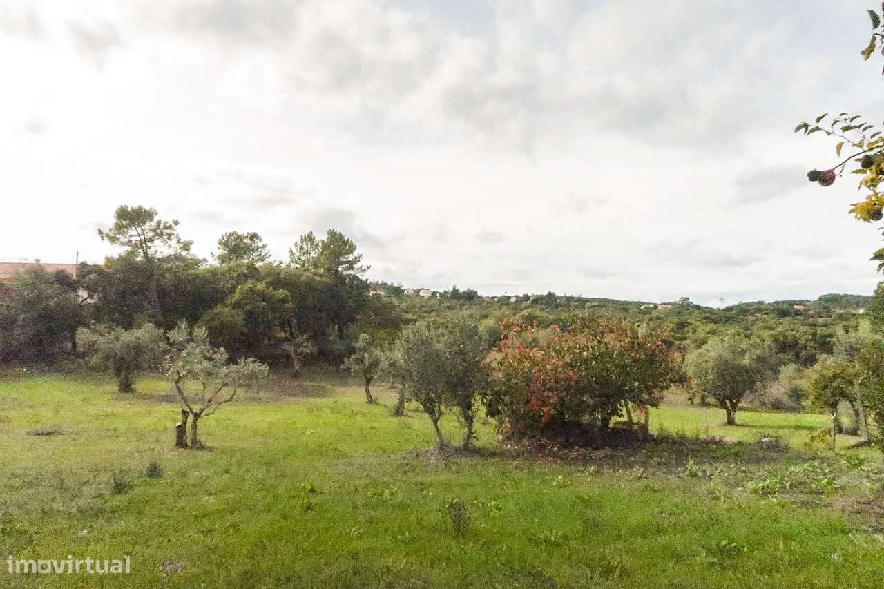 Zambujal - Edifícios em Pedra com Terreno 2800m2 - Ourém - Grande imagem: 5/11
