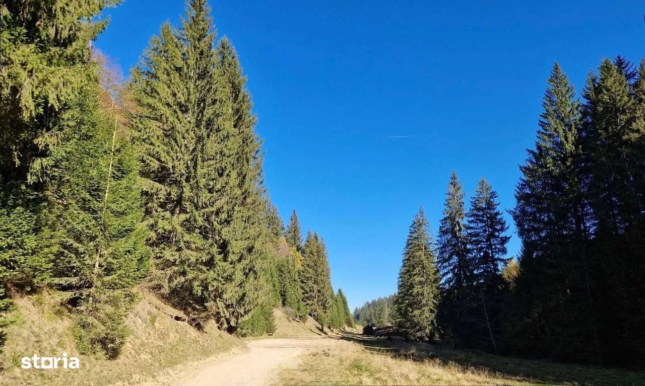 Teren 2.763 mp Poiana Brașov – lângă Stâna Turistică Sergiana-1