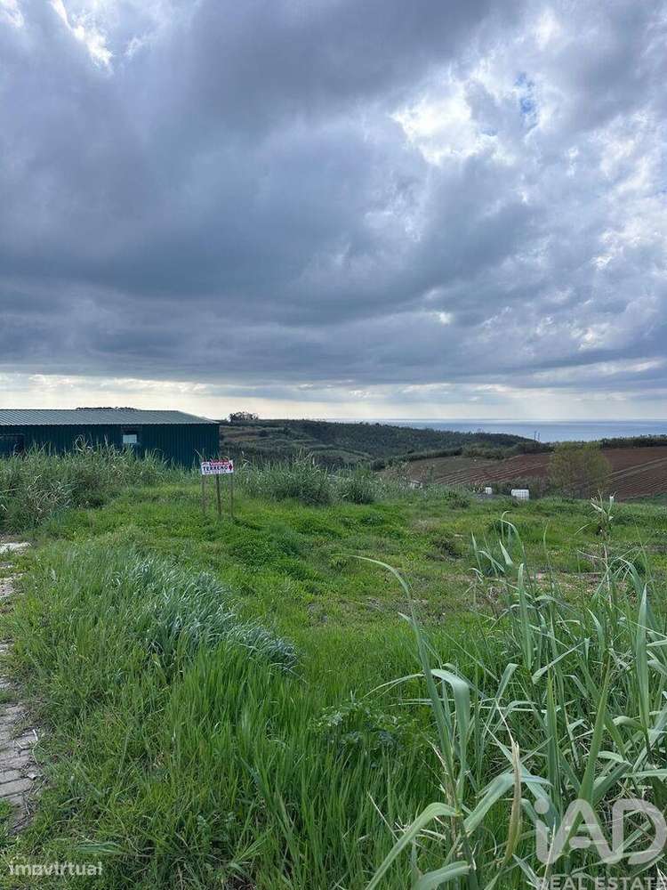 Terreno em Lourinhã e Atalaia de 3960,00 m2 - Grande imagem: 5/29