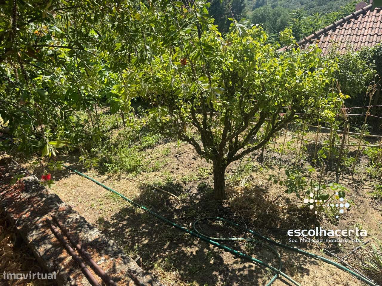 Quinta unica em pleno coração da Arrabida-45