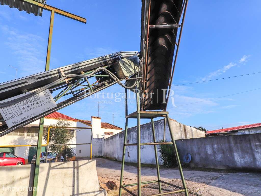 Unidade Industrial de Produção de Azeite & Elevado Potencial Produtivo-14