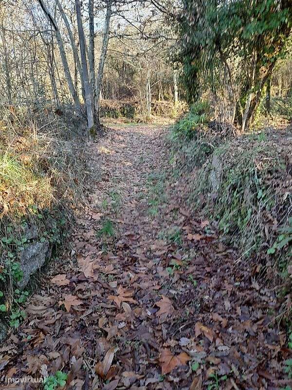 Terreno  para venda - Grande imagem: 4/6