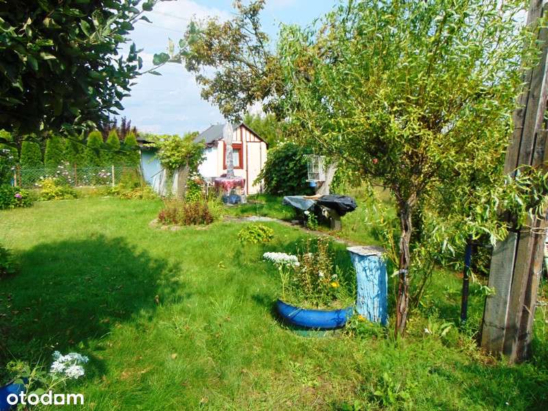 Działka ogrodowa ROD „BARBARA”-6