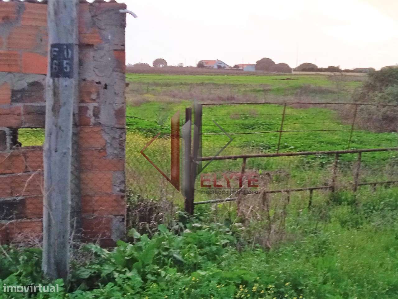 Terreno com armazém em Benavente. - Grande imagem: 4/16
