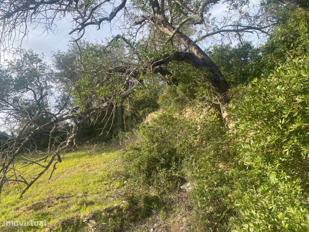 Terreno rústico localizado no Poral com 400m2, Loulé, Algarve - Grande imagem: 2/18