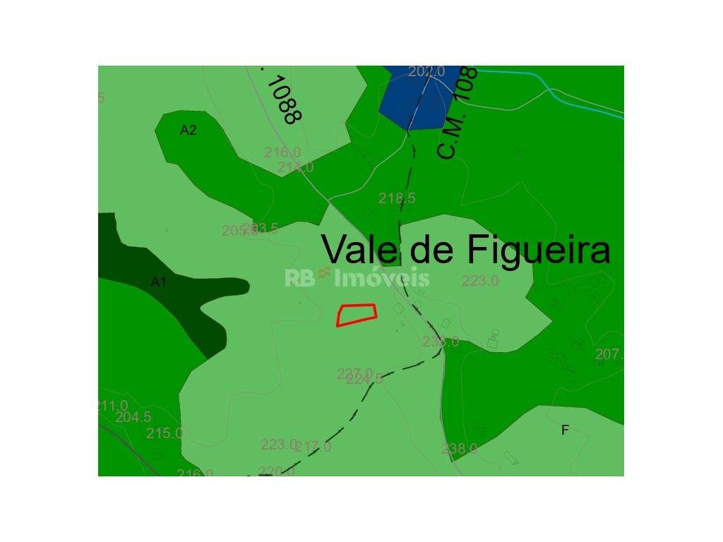 Terreno rústico com 1320m2 - Agroal, Tomar - Grande imagem: 4/5