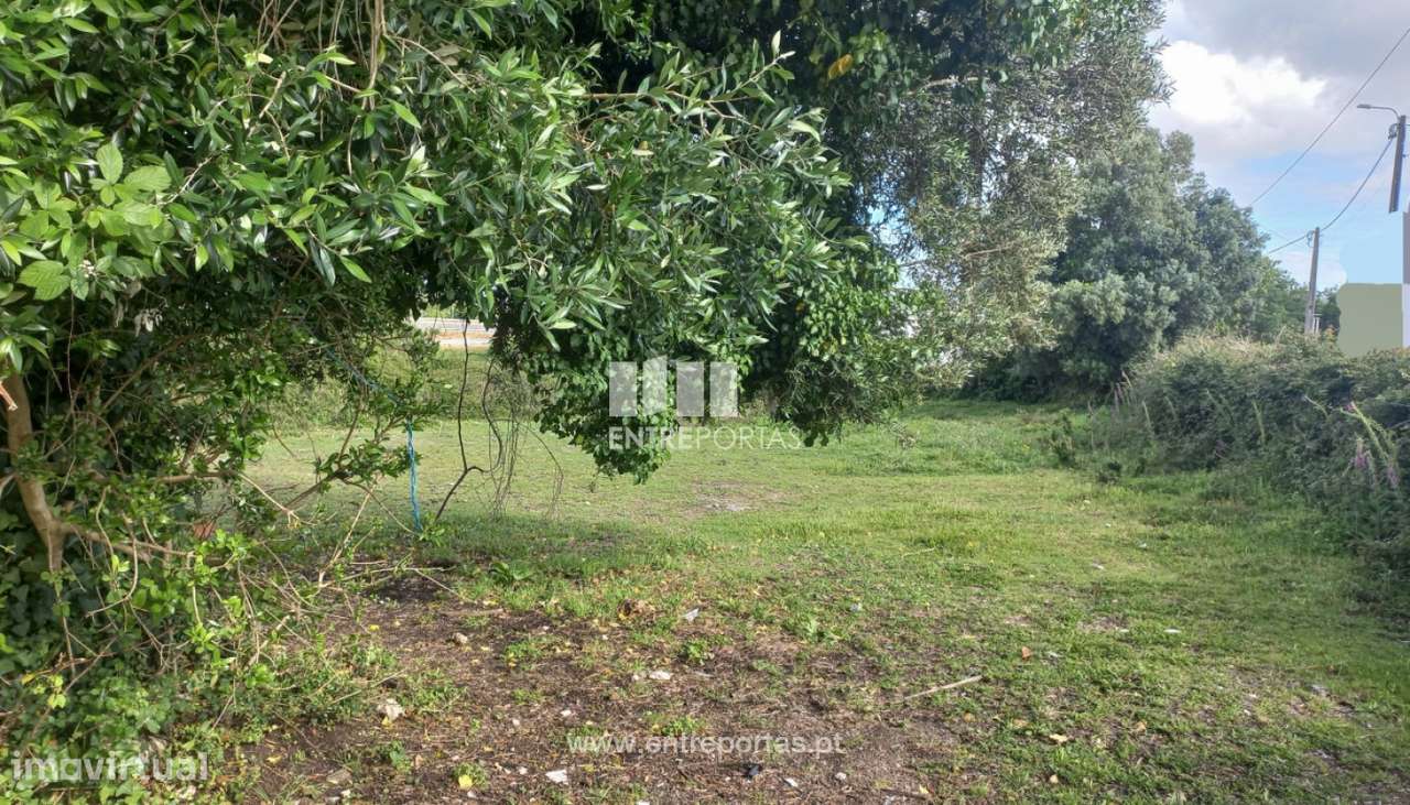 Venda de Terreno para construção com 7079m², Meadela, Viana do Cast - Grande imagem: 3/15