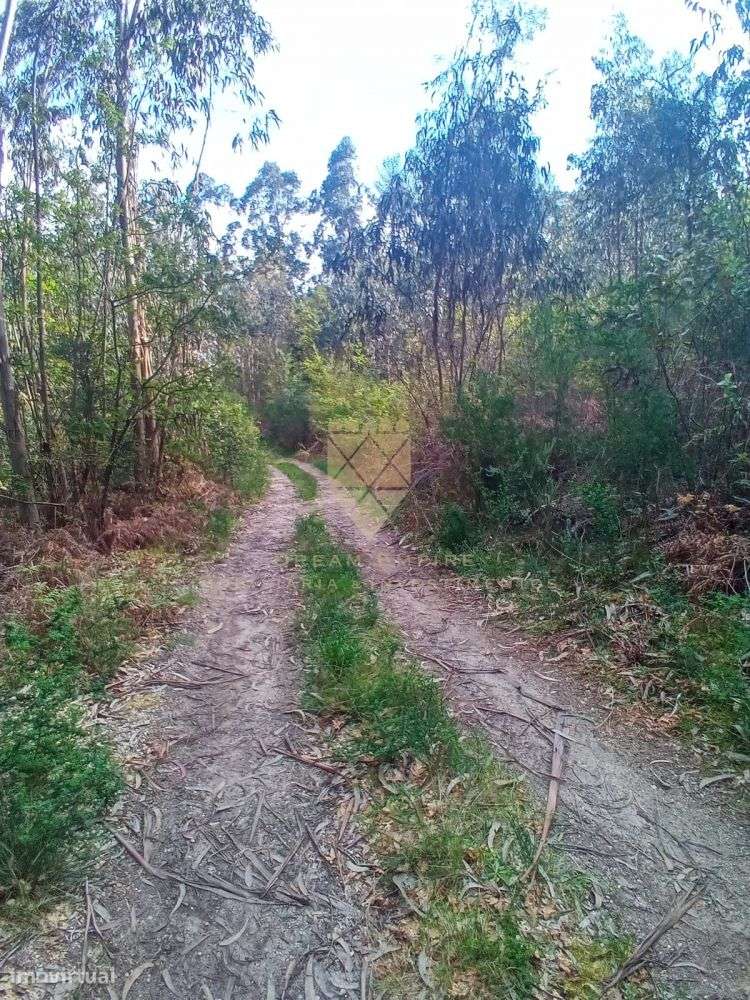 Terreno Rústico com 1.200 m² - Grande imagem: 3/7
