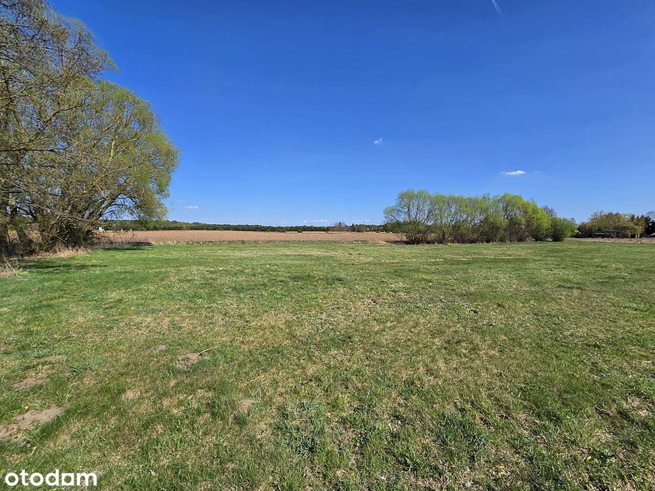 W sądziedztwie Jeziora Przedwieśnia - Pełny obrazek: 5/13