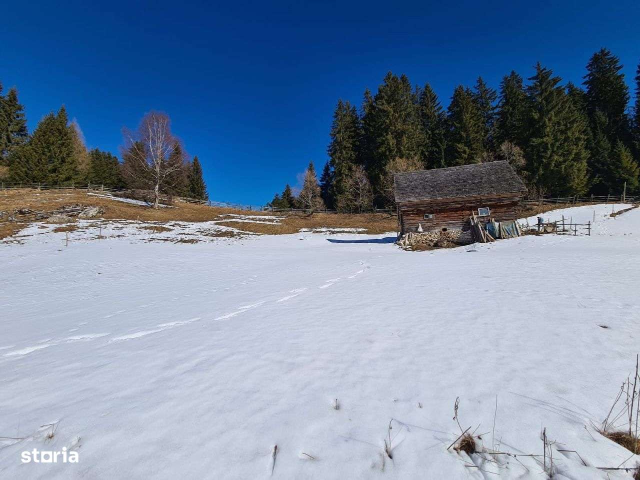 Teren situat langa padure de Vanzare - Imagine principală: 4/6
