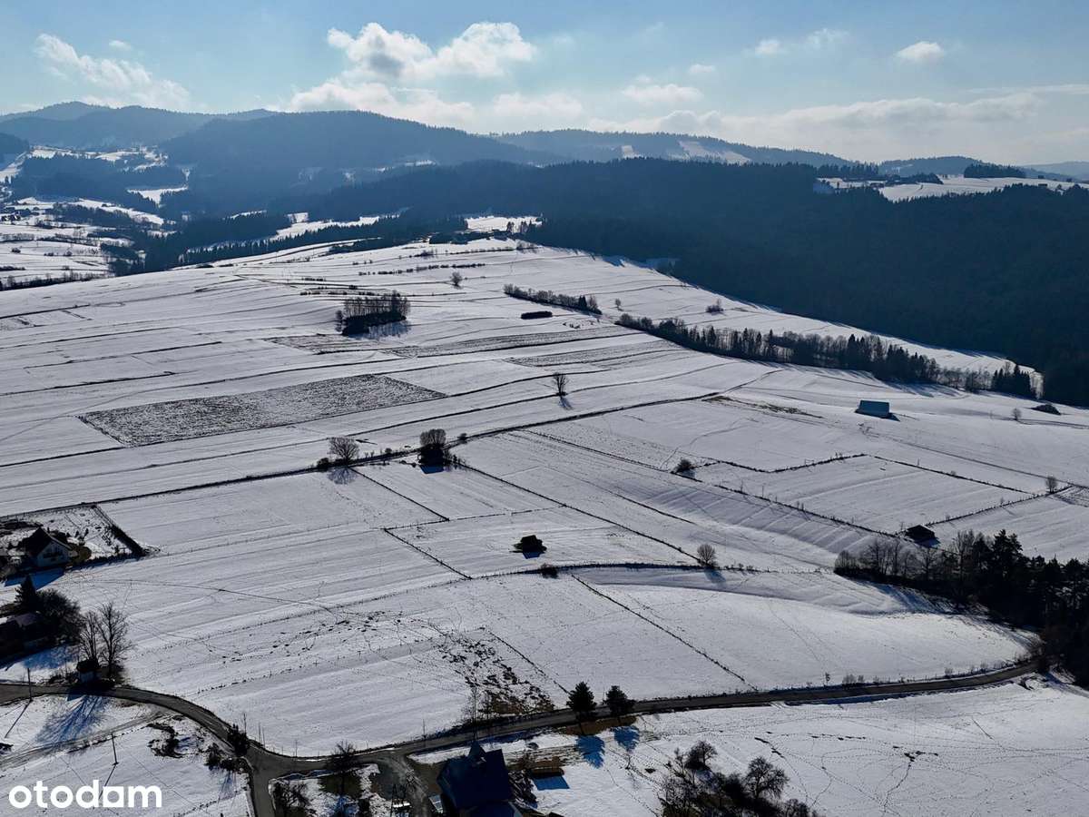 Duża działka budowlana w  SERCU BESKIDÓW-OLSZÓWKA, gmina Mszana Dolna-4