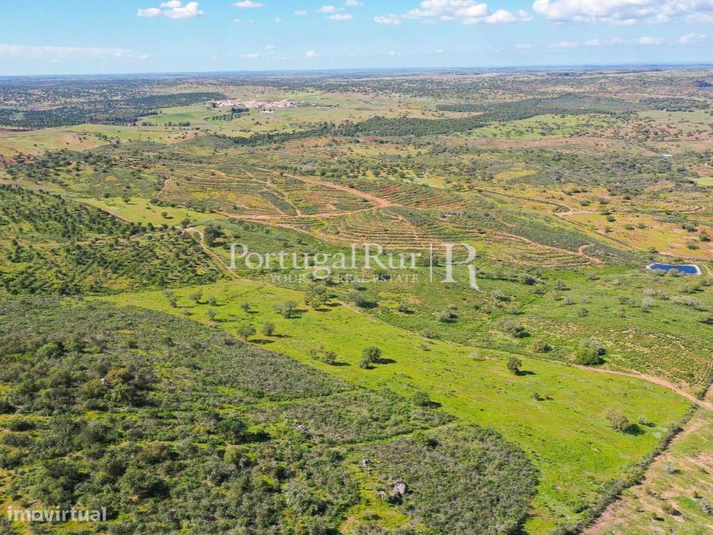 Herdades de Caça com 1300 Hectares, junto do rio Guadiana-56