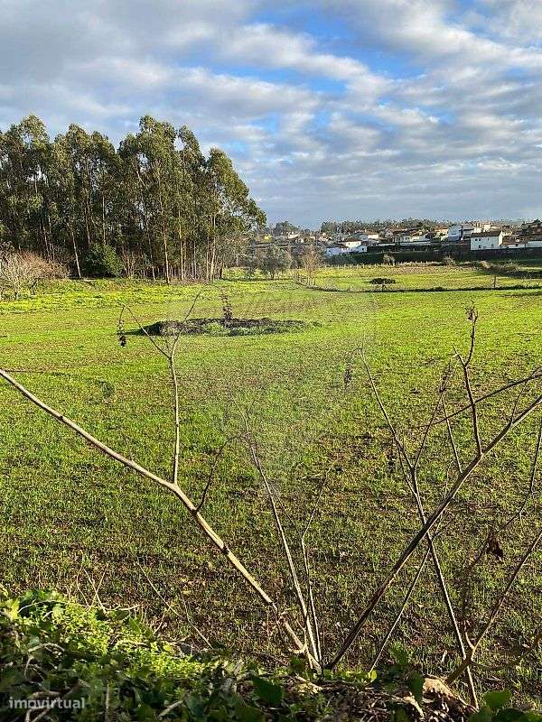 Terreno  para venda - Grande imagem: 4/9
